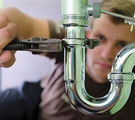 Couple walking in a park
